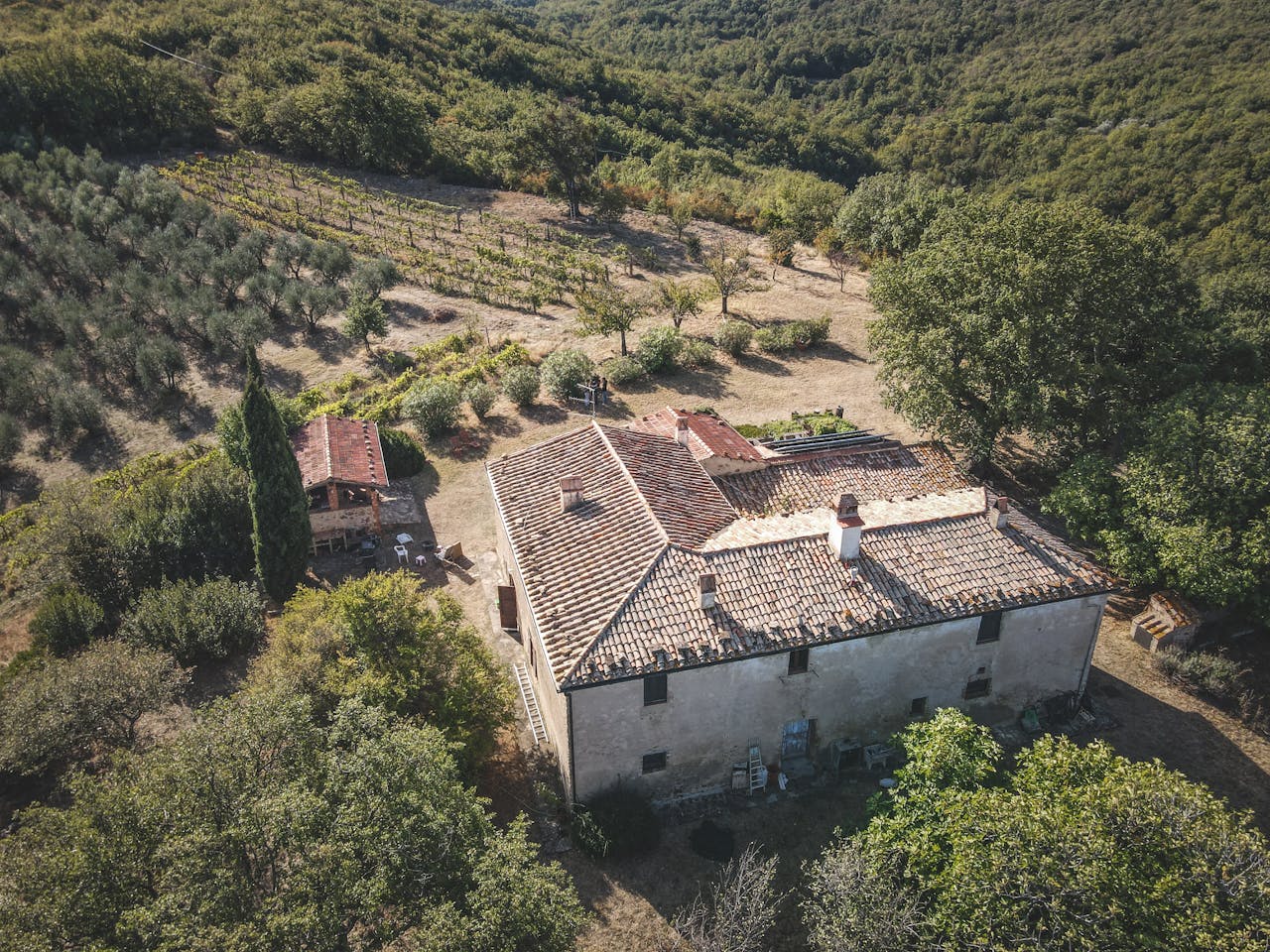 Drone shot of a rural farmhouse surrounded by lush greenery and vineyards.