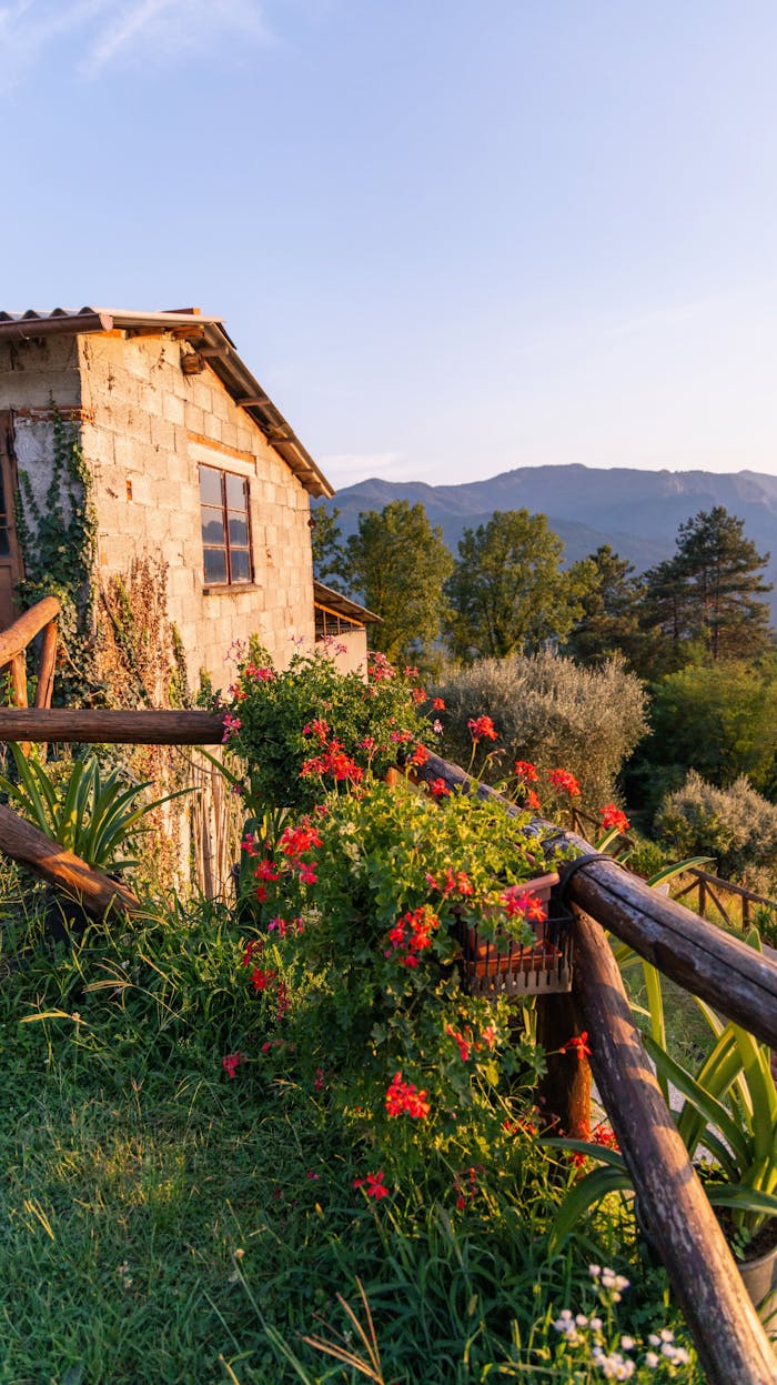 Rustic countryside house surrounded by lush red flowers and scenic landscape under sunset light.