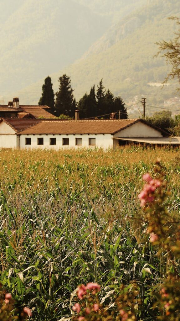 pexels-photo-33802941 Casa vacanza in collina a Gualdo Cattaneo