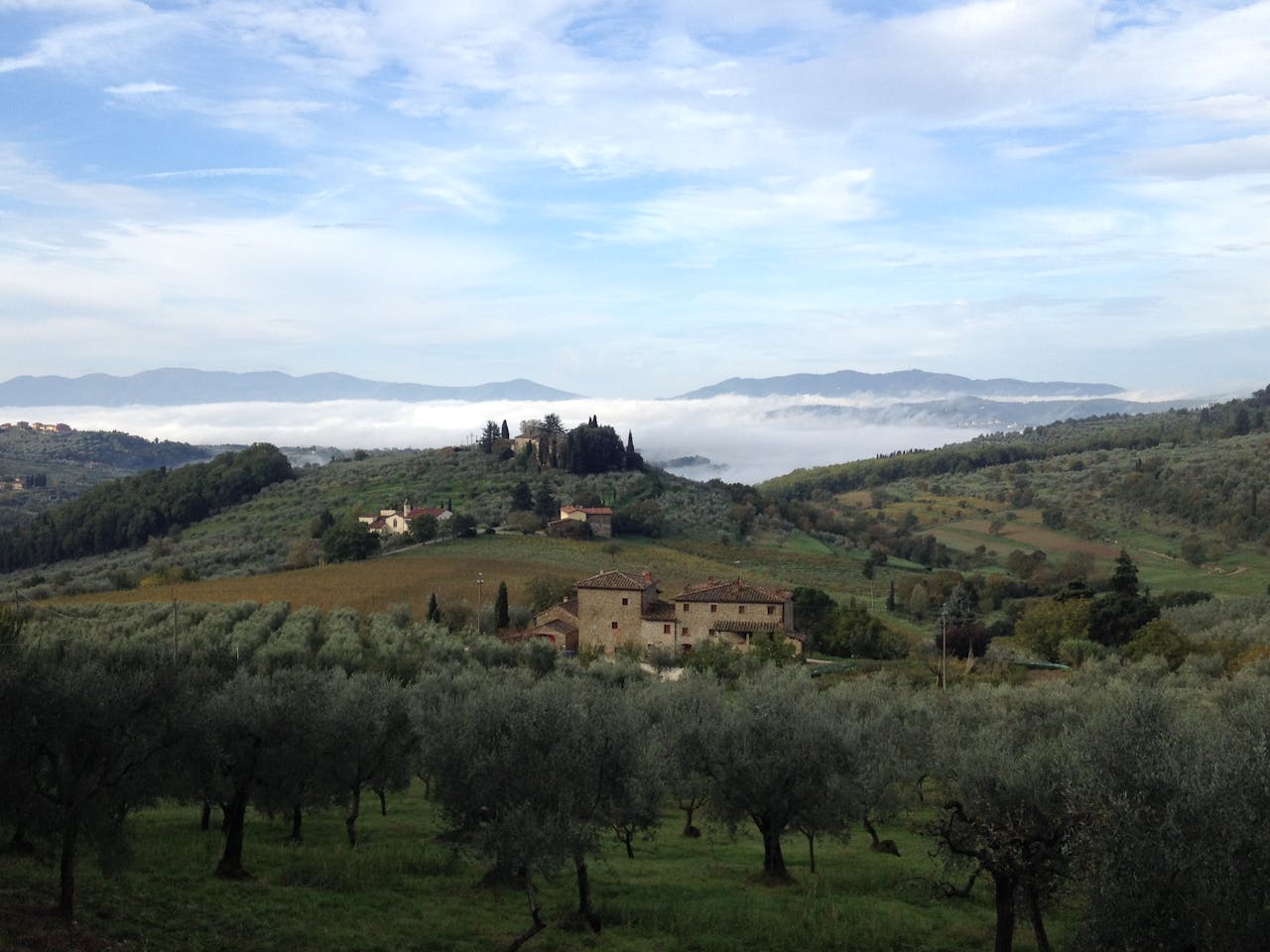 Idyllic view of Tuscany with olive groves, villas, and rolling hills under a bright sky.